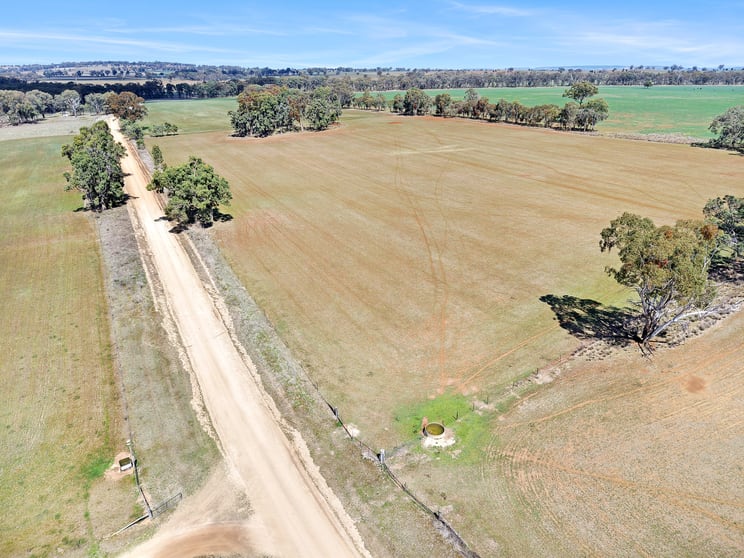 94 Halls Lane Bukkulla NSW 2360 - Image 3