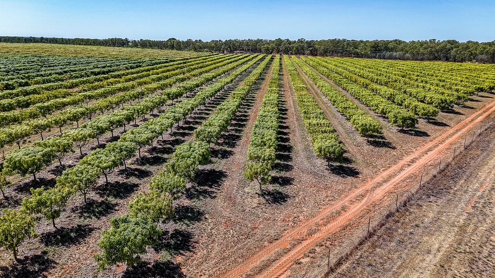 0 Foxalicious Farm Katherine NT 0850 - Image 3