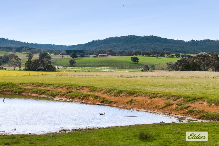 Click to view all images 1924 Three Chain Road Lancefield VIC 3435 - Image 3