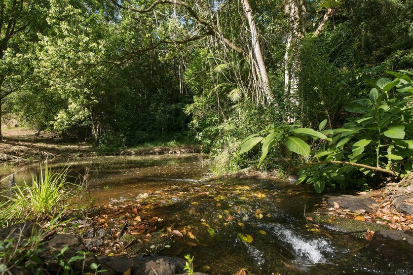 Click to view all images 716 Binna Burra Road Federal NSW 2480 - Image 3