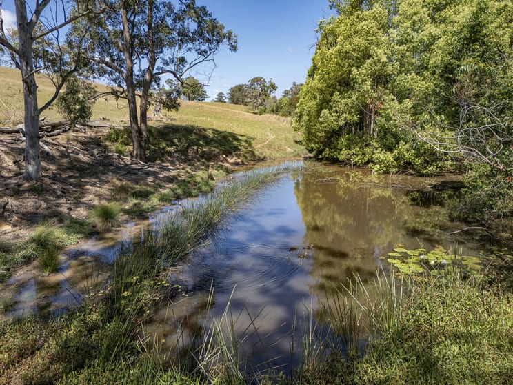 221 Lower Buckra Bendinni Road Buckra Bendinni NSW 2449 - Image 3