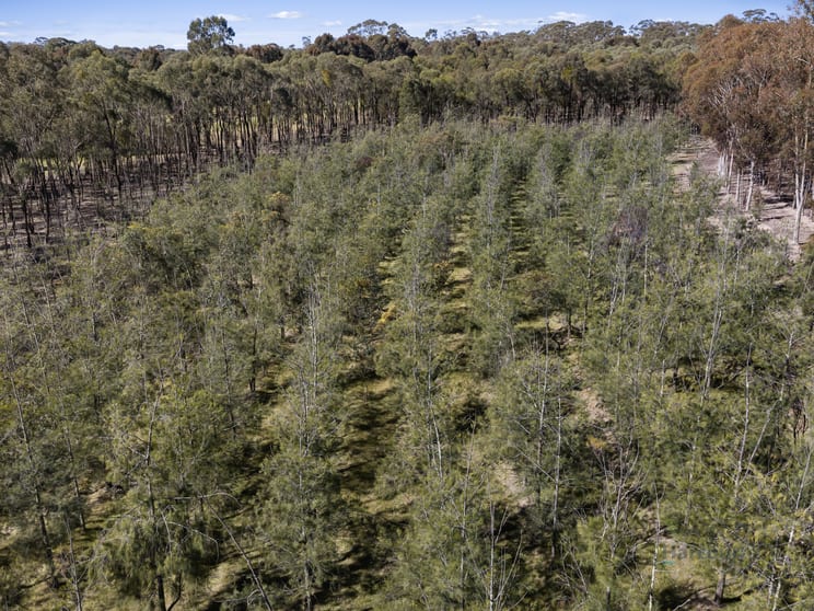 LOT 4 Dookie-Violet Town Road Earlston VIC 3669 - Image 3