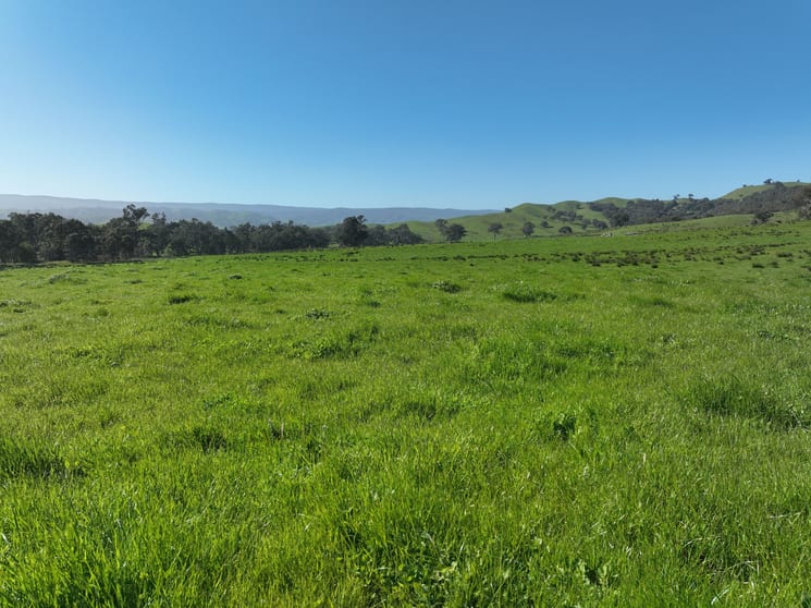 Click to view all images 5695 Melba Highway Yea VIC 3717 - Image 2
