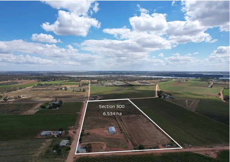 Click to view all images 60 Forward Avenue Loveday SA 5345 - Image 2