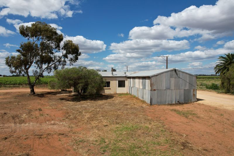 Click to view all images 60 Forward Avenue Loveday SA 5345 - Image 3