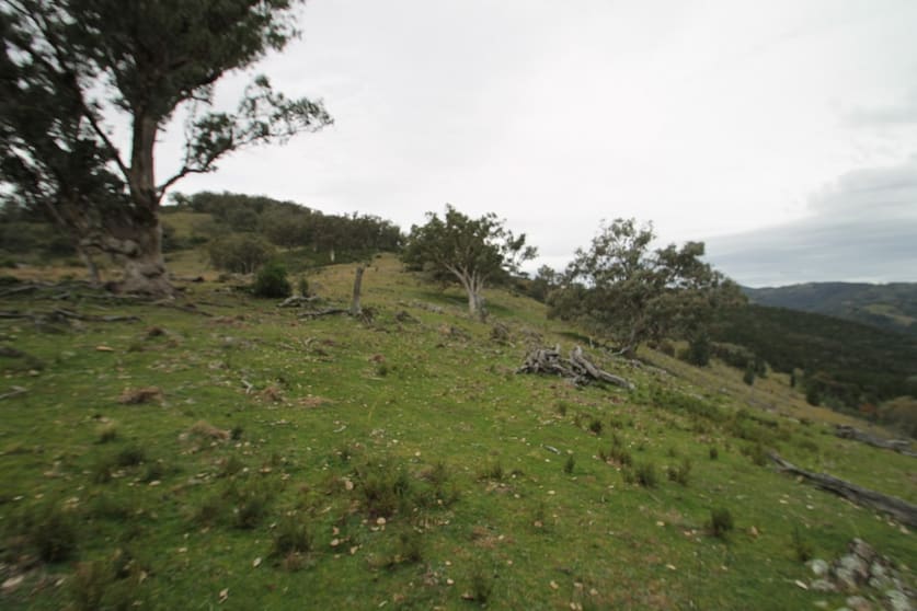 Mudgee NSW 2850 - Image 3