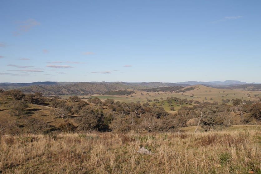 Click to view all images 848 Hughes Road Mudgee NSW 2850 - Image 1