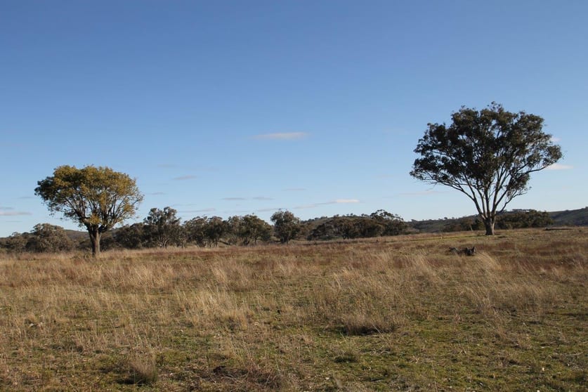 Click to view all images 848 Hughes Road Mudgee NSW 2850 - Image 3