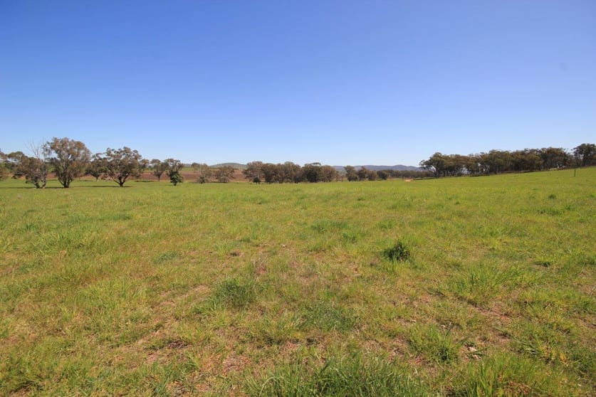 Click to view all images Mudgee NSW 2850 - Image 2