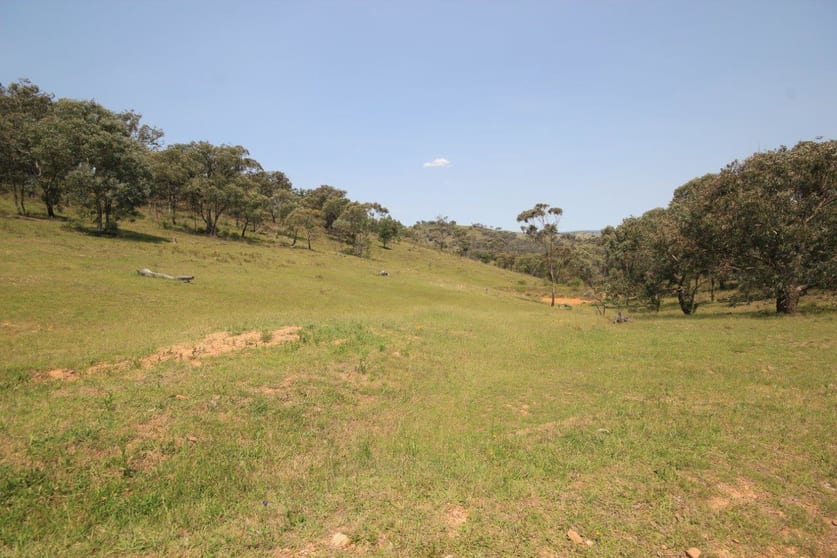 Mudgee NSW 2850 - Image 2