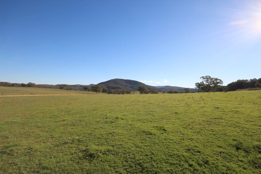 Coonabarabran NSW 2357 - Image 3