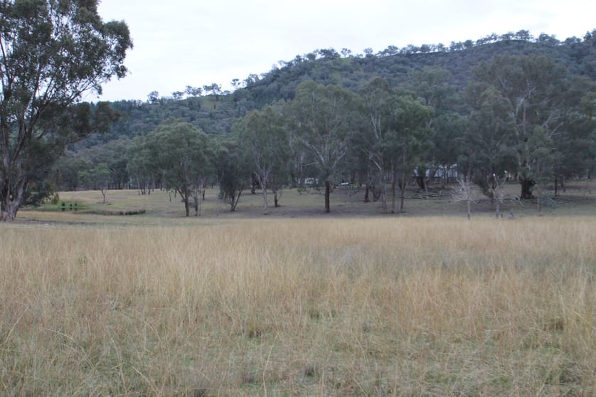 Mudgee NSW 2850 - Image 2