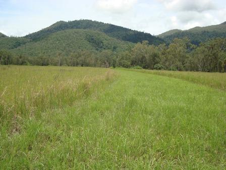 294 Pinevale Road Mia Mia QLD 4754 - Image 1