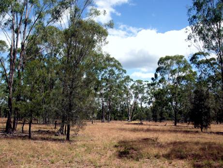 Click to view all images 5 CHINCHILLA-TARA ROAD Tara QLD 4421 - Image 3