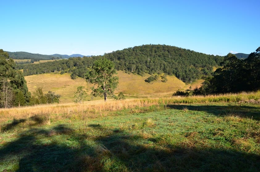 Knorrit Flat NSW 2424 - Image 3