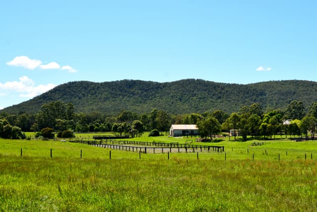 63 Williams River Close Clarence Town NSW 2321 - Image 3