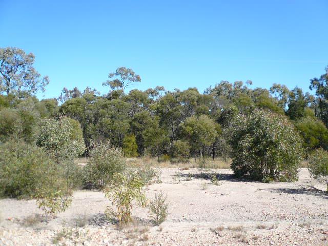 Click to view all images 62 MALES DRIVE Tara QLD 4421 - Image 2