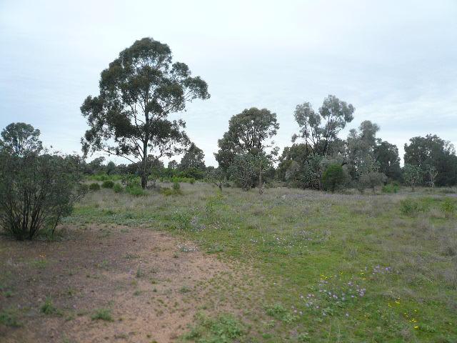 47 KYTES ROAD Tara QLD 4421 - Image 2