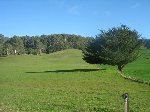 Click to view all images 1885 South Riana Road Gunns Plains TAS 7315 - Image 3
