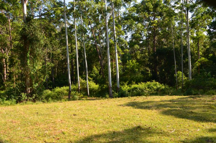 Wherrol Flat NSW 2429 - Image 3