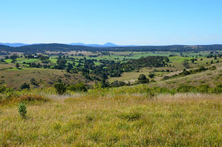 Wingham NSW 2429 - Image 3