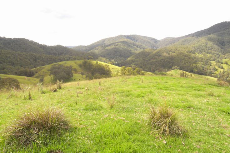 Cooplacurripa NSW 2424 - Image 1