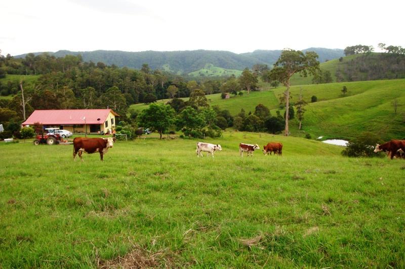 Krambach NSW 2429 - Image 1