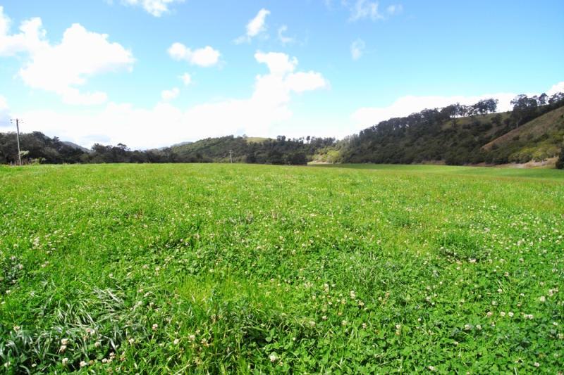 Click to view all images Mount George NSW 2424 - Image 2