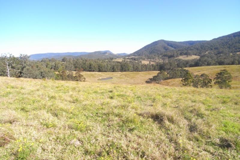 Wherrol Flat NSW 2429 - Image 3