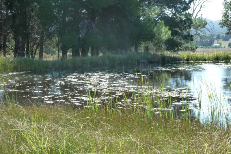Click to view all images Mudgee NSW 2850 - Image 1