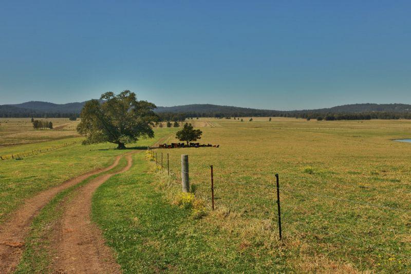 600 Seaham Rd Nelsons Plains NSW 2324 - Image 2