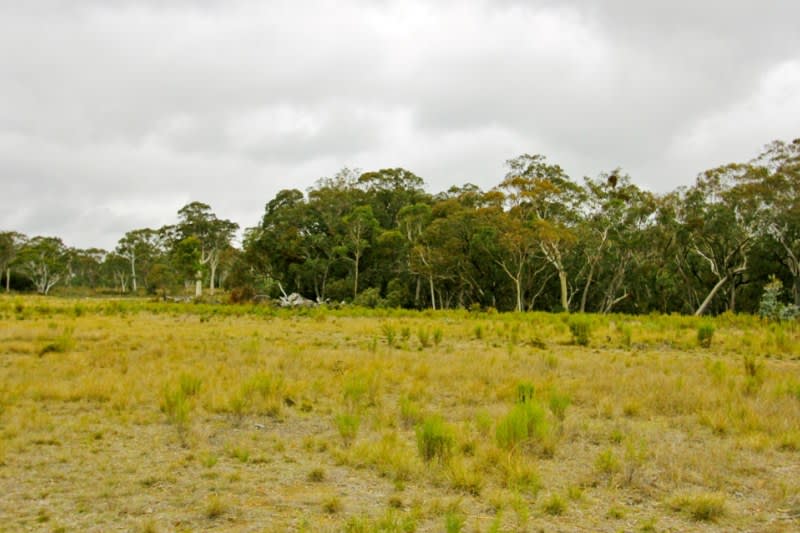 Click to view all images 1300 Green Gully Road Mudgee NSW 2850 - Image 3
