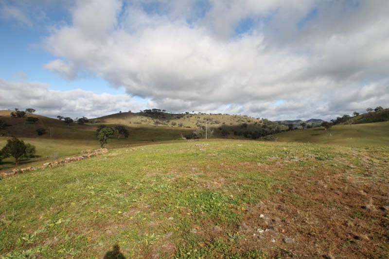 Click to view all images 761a Old Grattai Road Mudgee NSW 2850 - Image 3