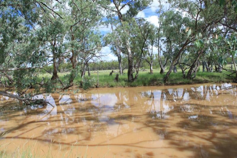 Click to view all images Mitchell QLD 4465 - Image 2