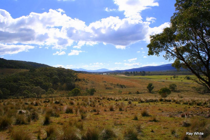 Click to view all images 3940 Cooma Rd Braidwood NSW 2622 - Image 3