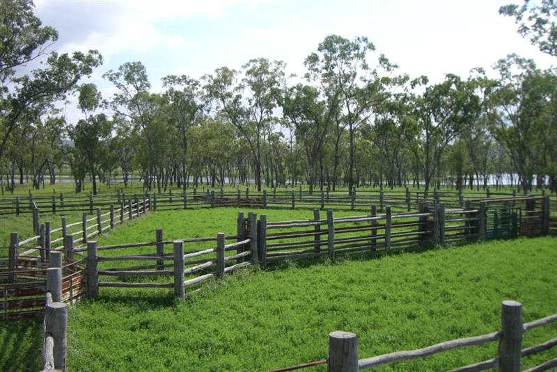 Click to view all images Injune QLD 4454 - Image 3