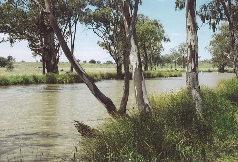 Click to view all images Injune QLD 4454 - Image 2