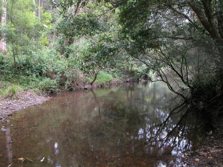 Charity Creek NSW 2424 - Image 2