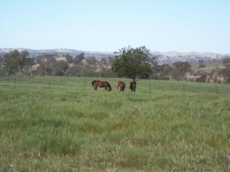 Click to view all images Cootamundra NSW 2590 - Image 2