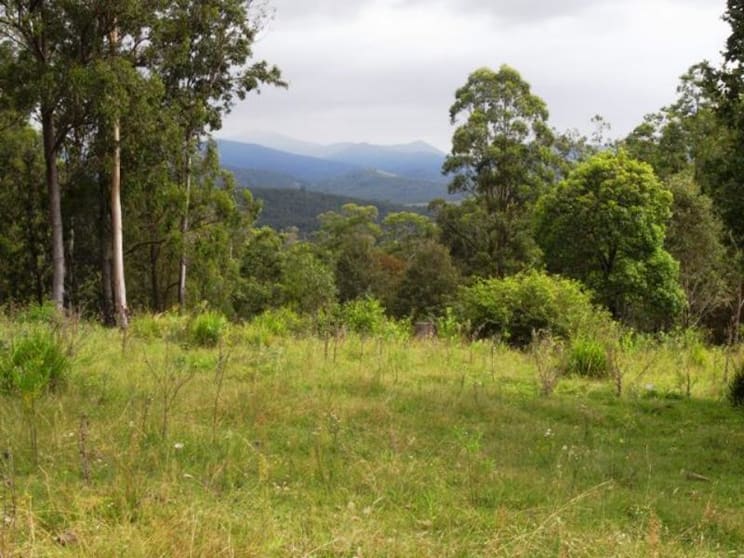 Click to view all images Mt George NSW 2424 - Image 3