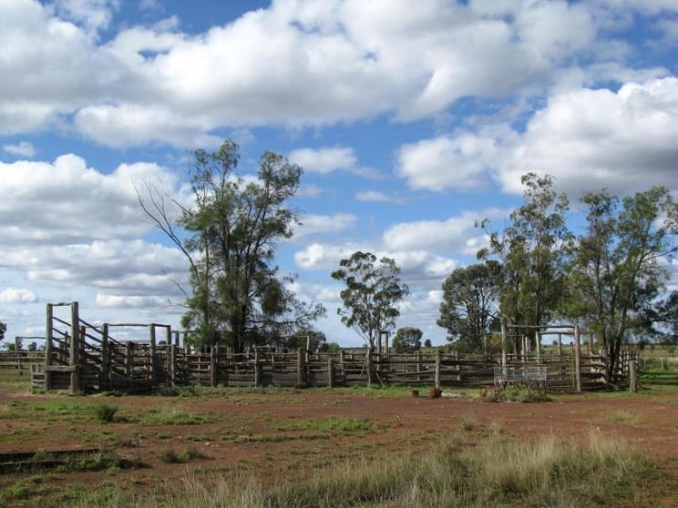 Click to view all images 2478 ACRES CATTLE AND CROPPING Tara QLD 4421 - Image 3