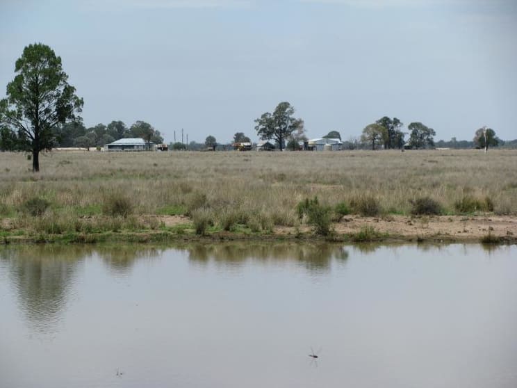 Click to view all images 1044 ACRES BRIGALOW BELAH Chinchilla QLD 4413 - Image 1