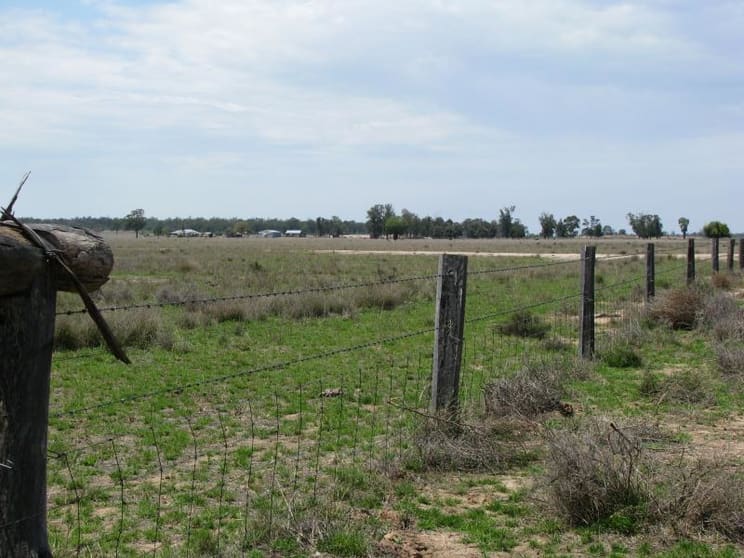 Click to view all images 1044 ACRES BRIGALOW BELAH Chinchilla QLD 4413 - Image 3