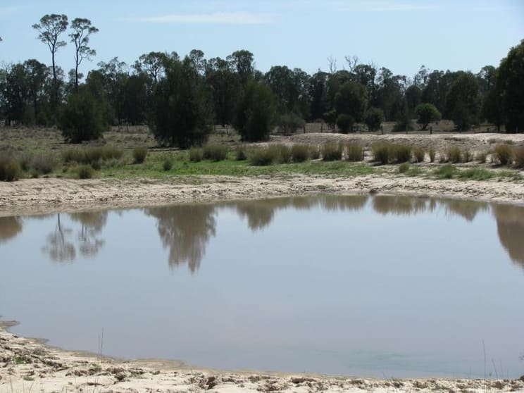 Click to view all images 1280 ACRES CATTLE GRAZING Chinchilla QLD 4413 - Image 2