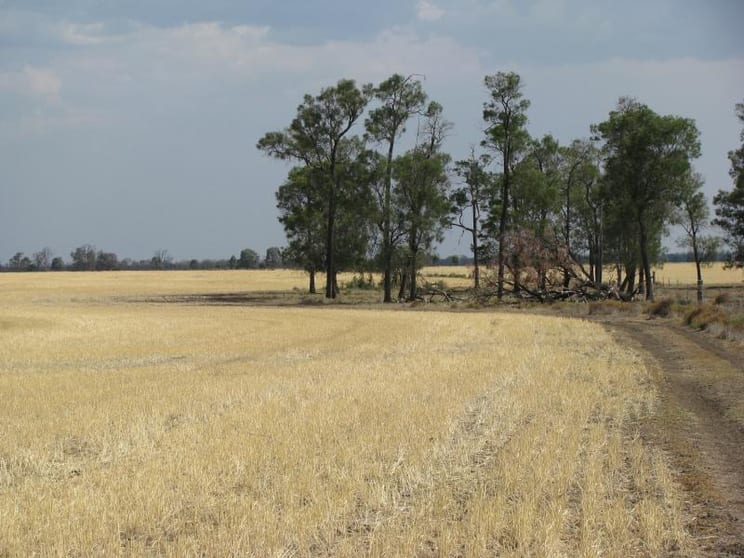 Click to view all images 2080 ACRES 5 KM FROM Tara QLD 4421 - Image 1