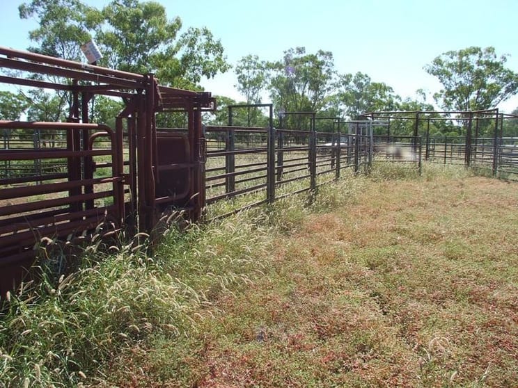 Honeymah Lane St George QLD 4487 - Image 3