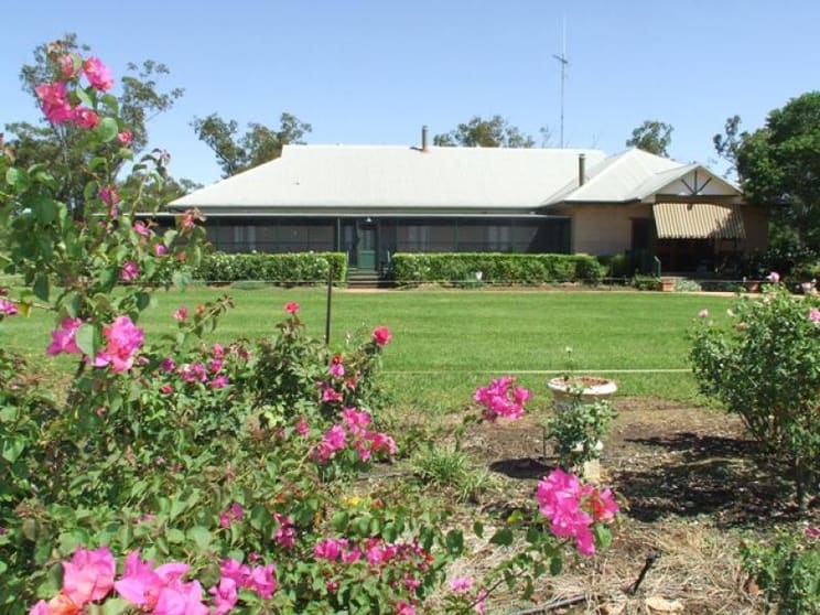 2350 Carnarvon Highway Thallon QLD 4497 - Image 3