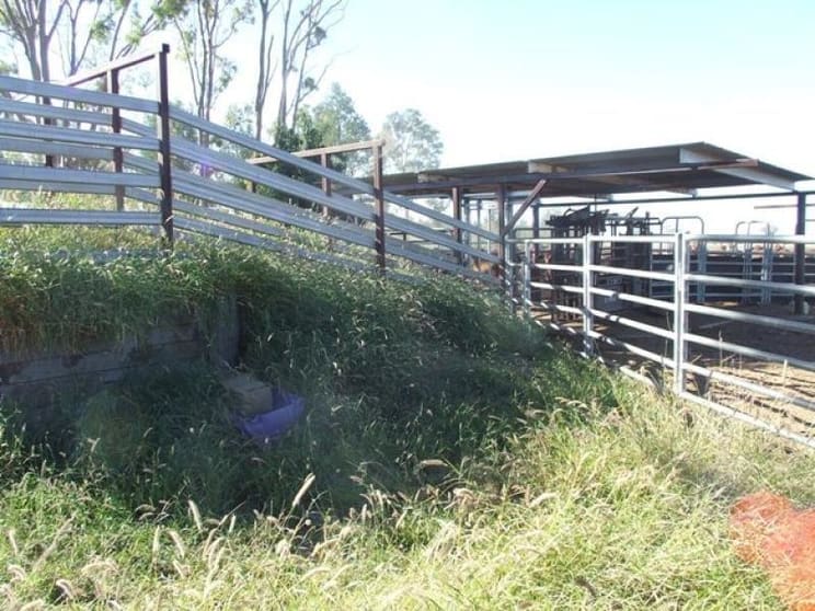 Click to view all images Southern Roma - Begonia Road Roma QLD 4455 - Image 3