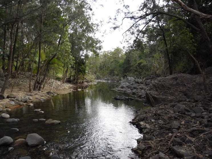 337 CATHU-OCONNEL ROAD Bloomsbury QLD 4799 - Image 1