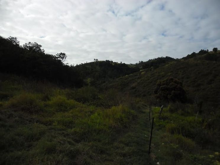 337 CATHU-OCONNEL ROAD Bloomsbury QLD 4799 - Image 3